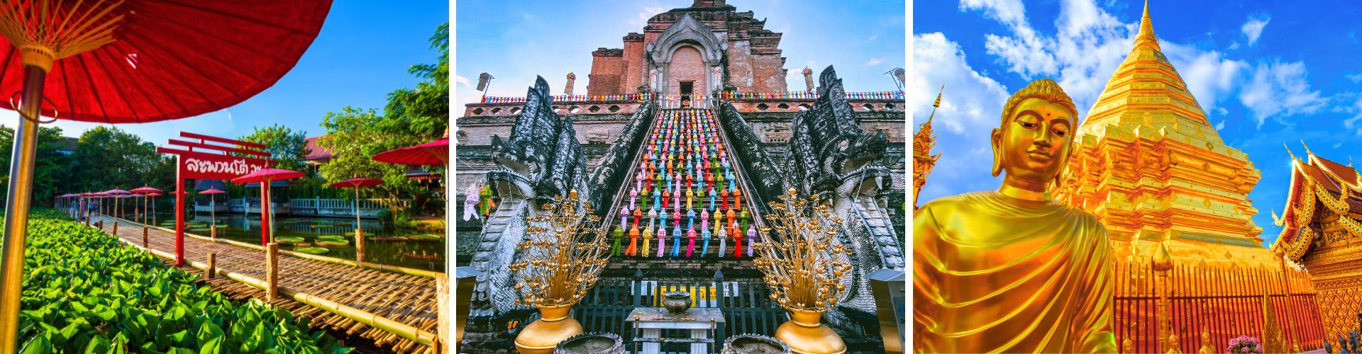 Chiang Mai (1) Chiang Mai 1 WOLO Travel